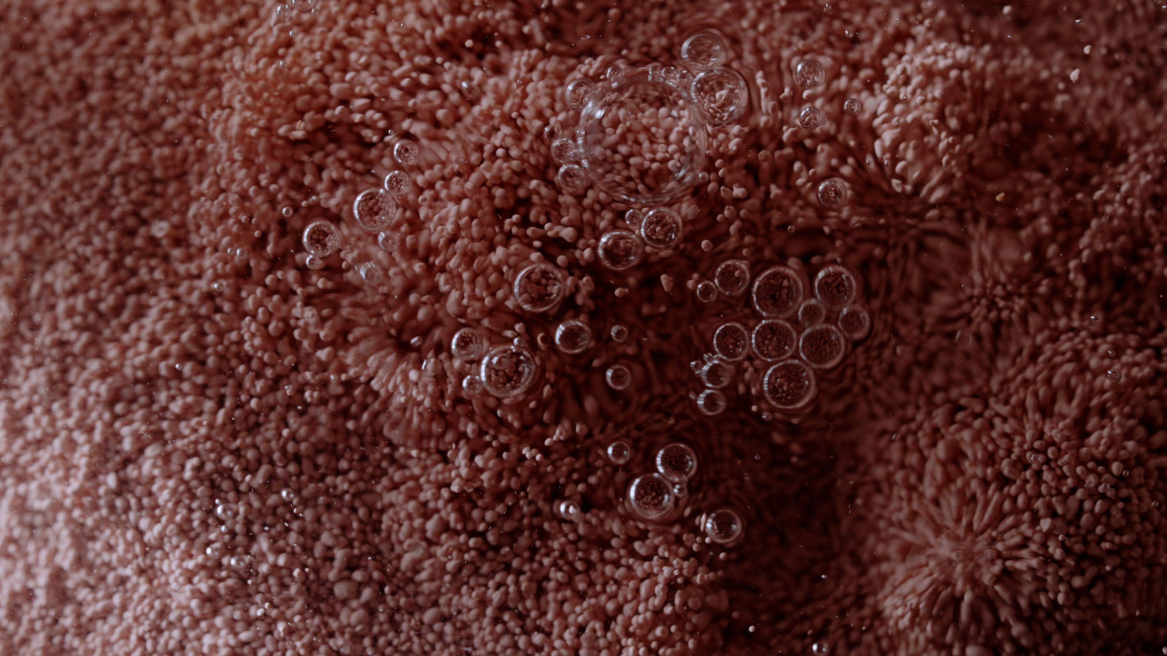 Adsorbents and PurAID containers 
