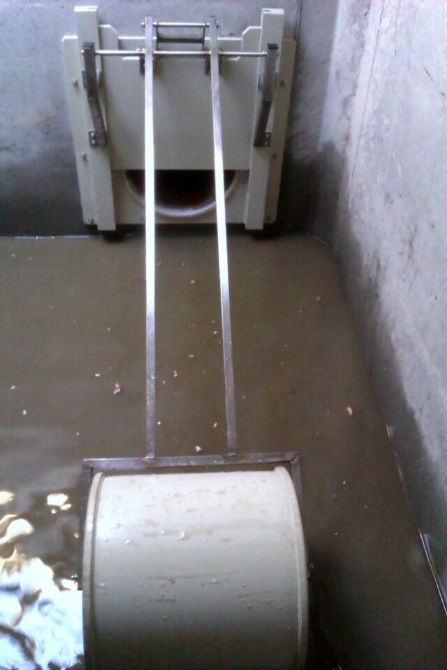 5f7f071e8cb39.jpg